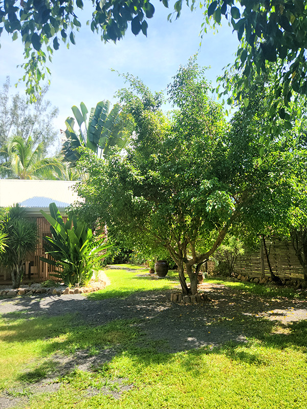 Villa Kauli Moorea Location villa Moorea